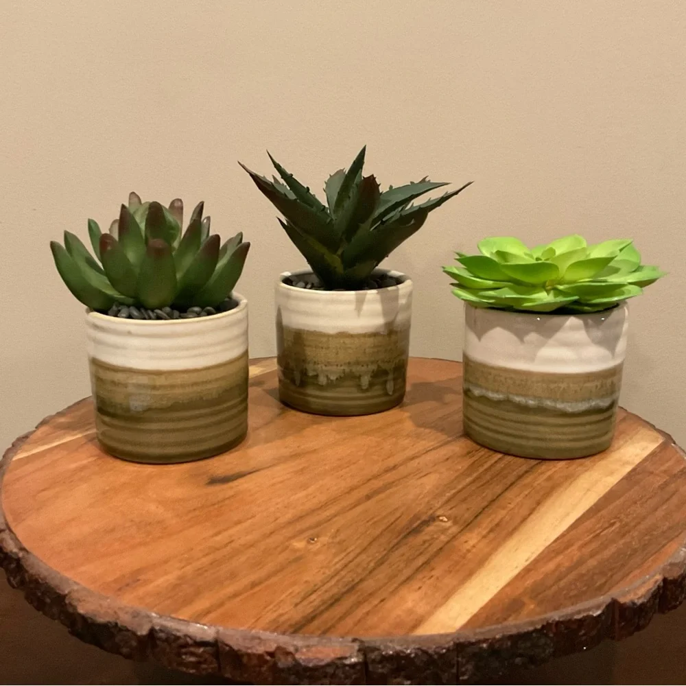 Set of 3 NEW Small Faux Succulents in Pots 🌵
